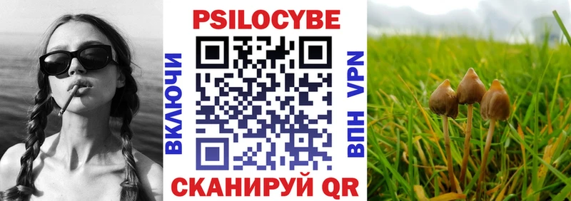 Галлюциногенные грибы Magic Shrooms Темников